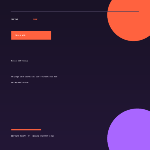 Basic SEO Setup by InfiniRank