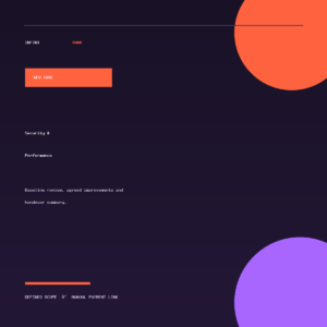 Website Security and Performance service by InfiniRank